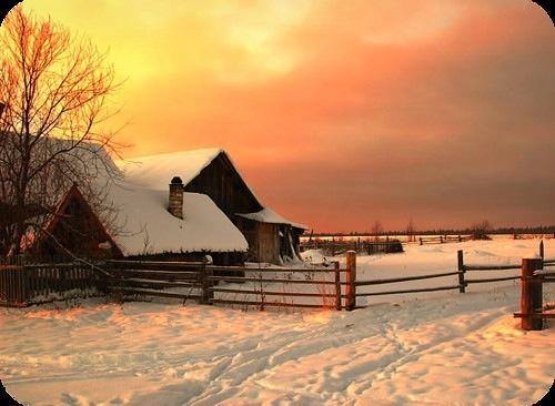 winter, snow, farm, peace, perspective, joy, life, serenity