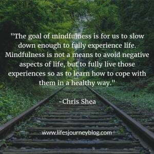 mindfulness goal
