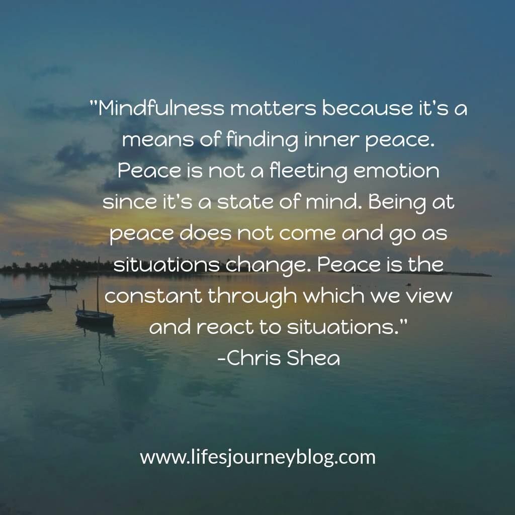 mindfulness matters