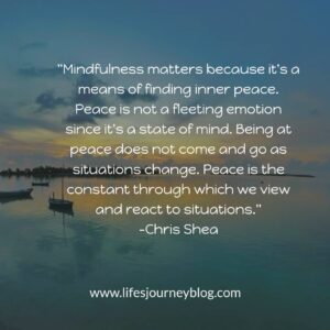 mindfulness matters