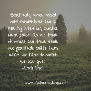 Finding True Gratitude Through Mindfulness And Action